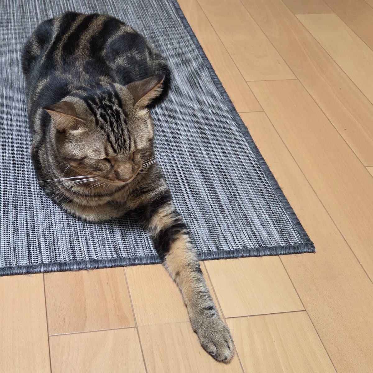 japantaxpro's tweet photo. 焦らず急げ。 https://t.co/NSdMTwQ73B