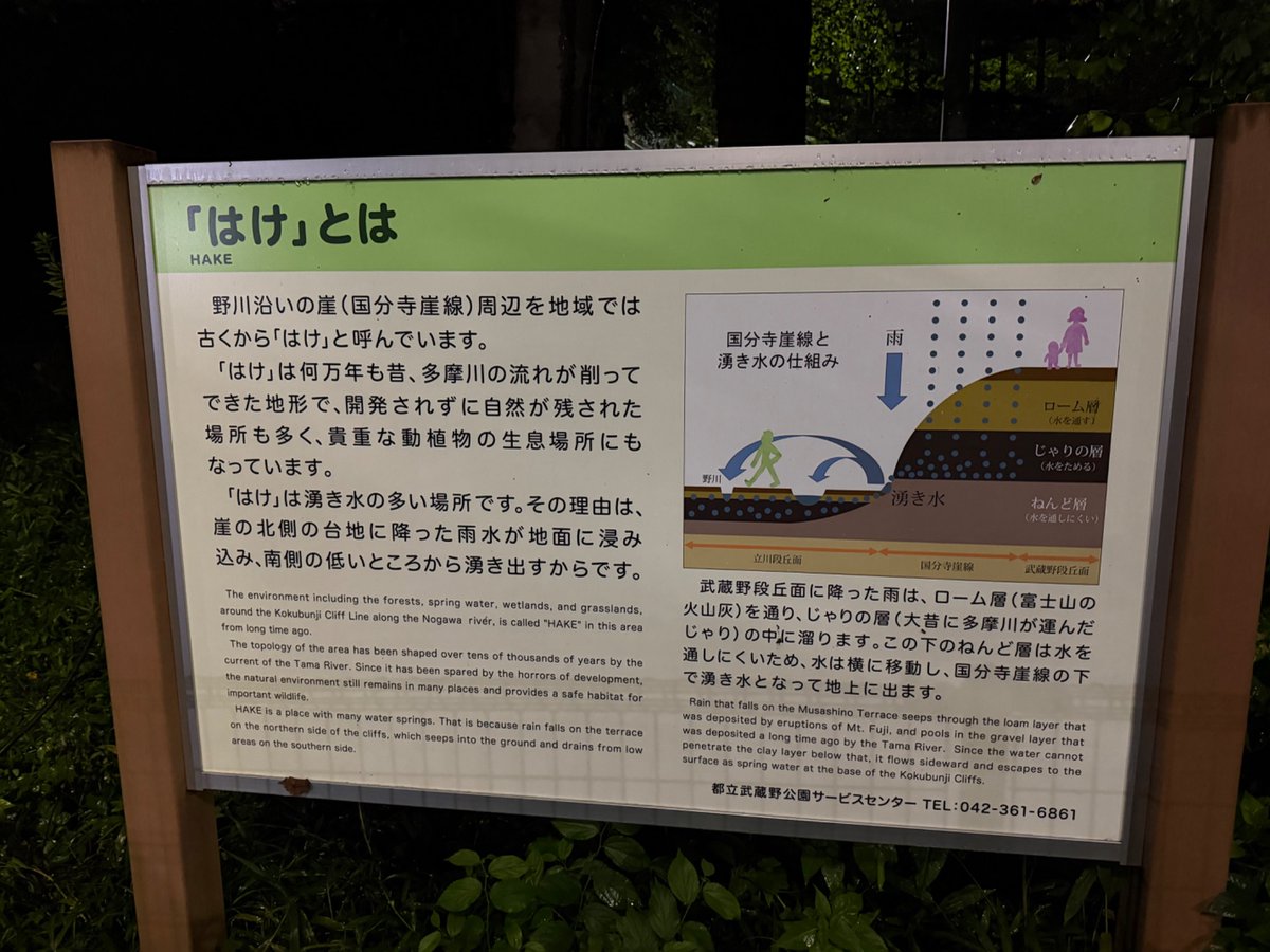 Cu_apple's tweet photo. 武蔵野あたりの野川沿い、家と森の距離感が近すぎて異界チックだった。崖（はけ、というらしい）の斜面沿いでは上から森に侵食されているような家も。小径の全てが怪談になりそうなリミナルな景色。

特徴的な地形の場所ってそれだけで光景に必然性がでてよい。 https://t.co/1nvk1sK3eN