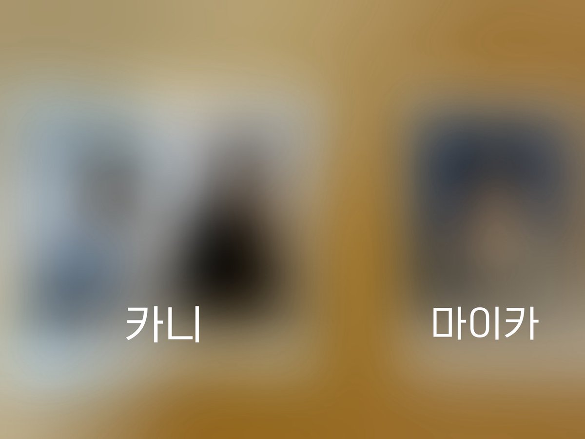 sxllxnd's tweet photo. 오드유스 Babyface 폴라로이드 양도 
카니 / 마이카 
각 6.0
오픈채팅으로 문의주세요!
https://t.co/6GUTvUhbUy

oddyouth album maika myah kanie summer yeeum opened album sell wts 베이비페이스 마이카 마야 카니 써머 예음 공방 사녹 사전녹화 판매 쇼챔 엠카 뮤뱅 음중 인가 직거래 대여 https://t.co/82GkYsGhEy
