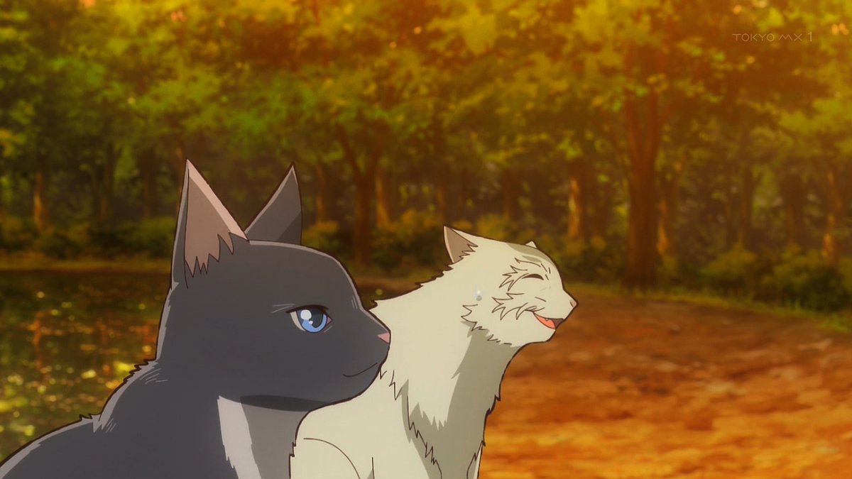 猫と竜 第11話 ツイート画像 1
