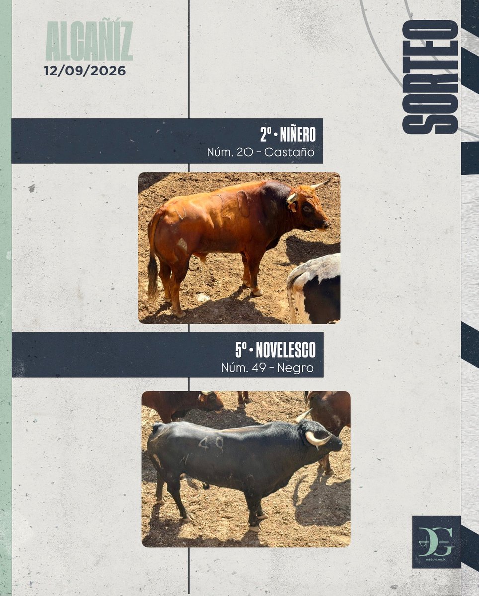 DiegoGarciaInf's tweet photo. ALCAÑIZ | 𝑳𝒐𝒕𝒆 𝒅𝒆 𝒕𝒐𝒓𝒐𝒔 para esta tarde 👇🏽

🐂 2º tarde. N° 20, castaño.
NIÑERO

🐂 5º tarde. N° 49, negro. 
NOVELESCO

⌚️¡Nos vemos esta tarde a las 18:00! 🤟🏽 https://t.co/MhcPur5GID