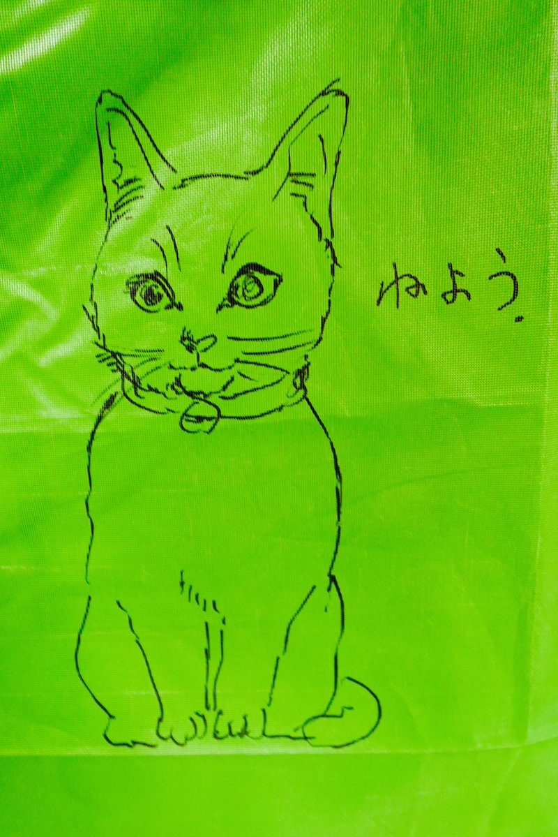 Yujin2_NonoNono's tweet photo. こんなに可愛いねこちゃんに
言われちゃ寝るしかないね🐈

＃藝祭 ＃藝祭2026
＃スリーピングストライキ https://t.co/Vd4YTsnWtx