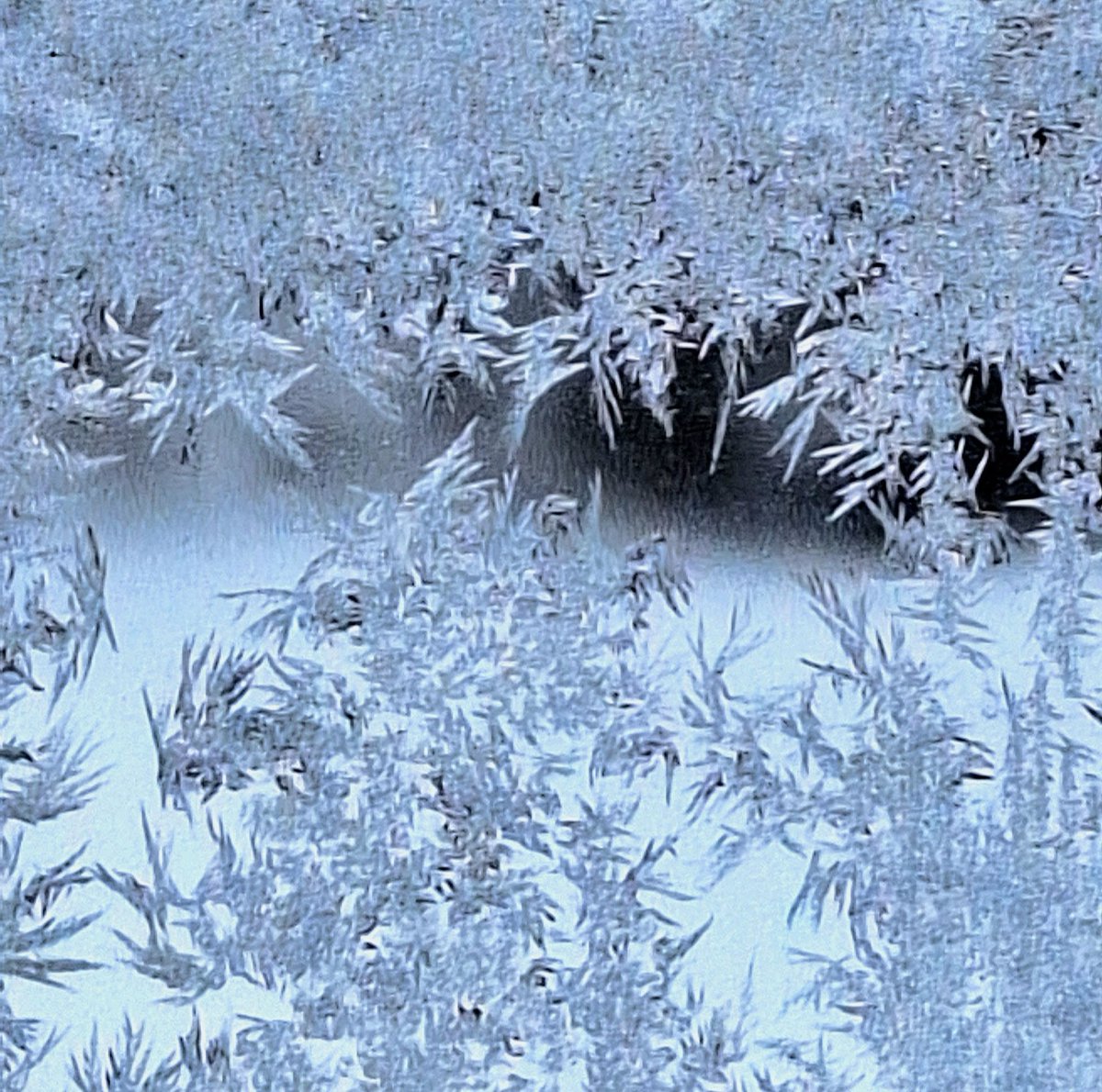 LashaunSise's tweet photo. sometimes feeling a little stuck is just the rhythm my brain needs to finally find the right frequency for a while ❄️ https://t.co/9VRX6kfX20