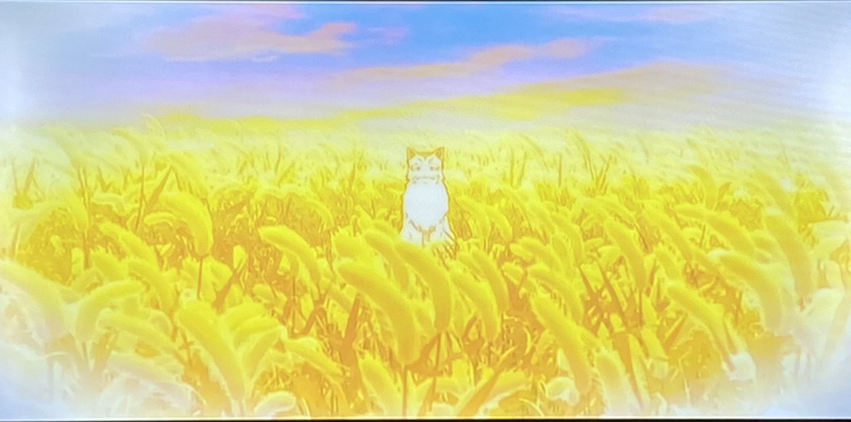 猫と竜 第11話 ツイート画像 1