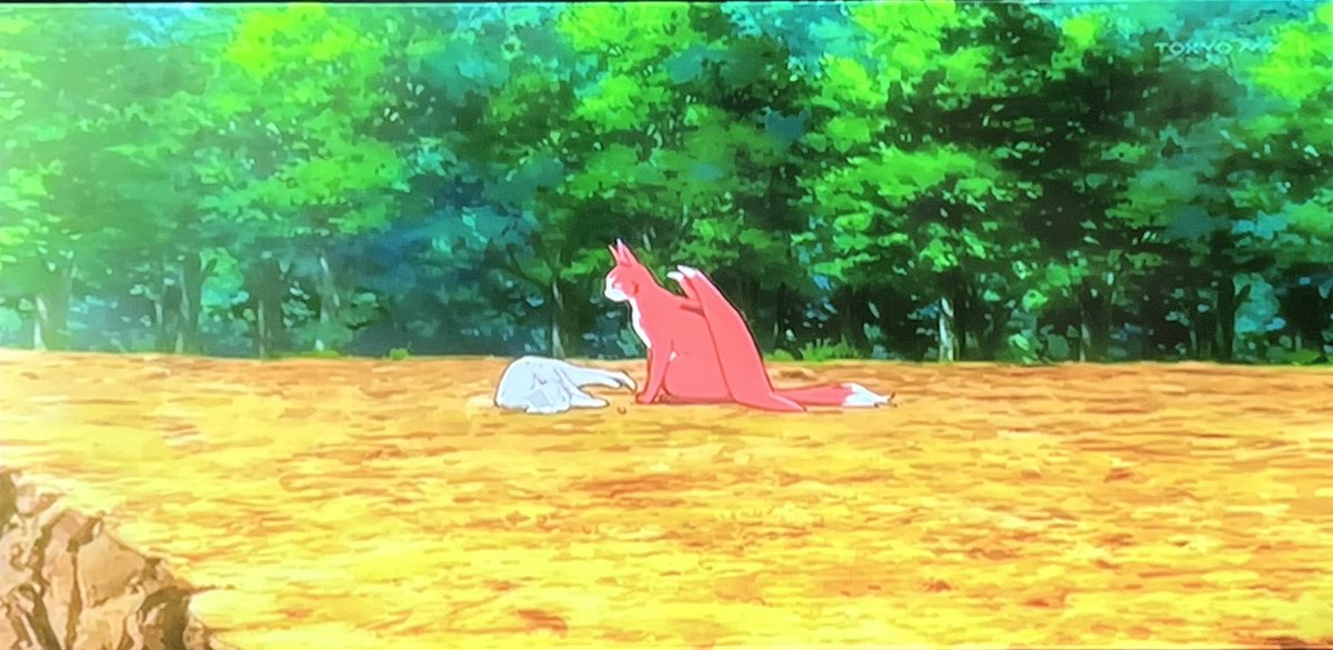 猫と竜 第11話 ツイート画像 1