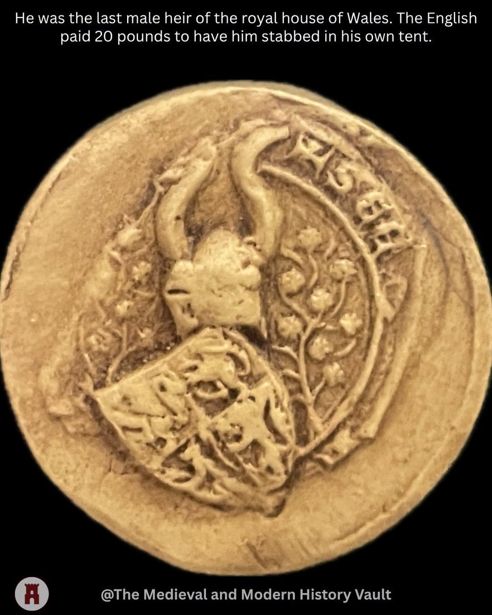 CarolynWRockey's tweet photo. In 1282, on a riverbank in mid-Wales called Cilmeri, a man was killed by an English soldier who did not know who he was.
His name was Llywelyn ap Gruffudd. He was Prince of Wales, the last native ruler of an independent Welsh state, and the head of the House of Aberffraw, the dynasty that had ruled Gwynedd for more than four hundred years. His head was cut off and sent to London, where it was set on a spike at the Tower. His brother Dafydd was hanged, drawn and quartered the following year for treason against Edward I. The boy princes of the line, Llywelyn's nephews, were taken to Bristol Castle and never seen again.
The senior royal line of Wales should have ended there.
It did not.
A decade before Cilmeri, in 1272, Llywelyn's youngest brother Rhodri had done something quieter and stranger than war. He had renounced his patrimony in Gwynedd, accepted English protection, and crossed the border to live as a country gentleman on a small manor at Tatsfield in Surrey, seventeen miles from London. He kept his head down. He kept his estates. He kept his name.
After the conquest of 1283, with every other male of the senior line dead or vanished, Rhodri's quiet bargain in Surrey turned out to be the only thing that had preserved the bloodline of Llywelyn the Great.
His son Thomas lived the same uneventful life on the same English manor. But Thomas still pressed the four lions of Gwynedd into the wax of his seal. And in around 1330, Thomas had a son.
The boy was called Owain.
He grew up in Surrey, the senior surviving male of the native ruling house of Wales, and almost no one in Wales knew he existed.
By his twenties, he was in France. Free companies of mercenary captains were riding through every theatre of the Hundred Years War, and Owain joined the French crown as a soldier of fortune. When his father died in 1363, he returned briefly to claim the family estates, including holdings in Montgomeryshire, then left again in March 1366 and never set foot in Britain again.
By 1369, when the war with England resumed in earnest, he was leading his own company in French service. The English crown confiscated every acre he owned. He did not seem to mind. He had already chosen a different inheritance.
For the next nine years he carried the war against England wherever it would go. Brittany. Poitou. Limousin. The Loire Valley. He fought in Spain during the Castilian Civil War. He crossed the Alps into Lombardy. He served as a French envoy to Castile to secure the fleet that attacked La Rochelle in 1372. He campaigned through Alsace and Switzerland during the Gugler War. His company was largely Welsh. Many of his men were exiles from a country they could not return to. His second-in-command, Ieuan Wyn, was descended from Ednyfed Fychan, Seneschal of Gwynedd under Owain's own ancestors.
The court of Charles V watched all of this. And in May 1372, after thirteen years of campaigning, Owain came back to Paris and did the thing he had been working toward his whole adult life.
He stood up in the French king's court and declared himself the rightful Prince of Wales. Lineal successor of the two Llywelyns. Senior male of the House of Aberffraw. The principality his ancestors had ruled, taken from his uncle on a riverbank ninety years before, claimed in open court by the only man left with the blood to claim it.
The French king agreed.
Charles V granted him a pension of a thousand francs a year and gave him a fleet. Owain sailed from Harfleur with French ships at his back, bound for Wales. It is one of the most extraordinary near-misses in British history. The expedition reached Guernsey, and then it was recalled. The war in Aquitaine had turned, and the king needed every captain he had.
The fleet went south. Owain went with it.
Word of him had already reached Wales. As early as 1369 the English authorities were preparing for an uprising in his name. In 1370 a man from Anglesey was condemned for having been in touch with Owain Lawgoch, an enemy and traitor, for the purpose of starting a war in Wales. Whatever he did in France, his name was already moving along the western roads at home.
In 1377 the rumours started again. Another fleet. Another expedition. Castilian backing this time.
The English government acted outside the rules of war between Christian princes. They bought him.
A Scot named John Lamb joined Owain's retinue at the siege of Mortagne-sur-Gironde in Poitou. He worked his way into the captain's inner circle. By the summer of 1378 he had been made Owain's chamberlain. In July, he stabbed him to death in his own camp.
The English exchequer paid him for the work. The Issue Roll of 4 December 1378 records the transaction in plain language. To John Lamb, an esquire from Scotland, because he lately killed Owynn de Gales, a rebel and enemy of the King in France: twenty pounds.
Owain was buried at the Church of Saint-Léger in Mortagne, where his bones still lie. His company continued under Ieuan Wyn for years. And with his death, the senior male line of the House of Aberffraw, the line of Llywelyn the Great, was extinguished. The claim passed sideways to the dynasties of Deheubarth and Powys. Twenty-two years later it would be raised again, by another Owain, who would fight for fifteen years and vanish without trace.
But the bloodline that had begun with Rhodri Mawr in the ninth century, that had run through Owain Gwynedd and Llywelyn the Great and Llywelyn the Last, ended in a tent in Poitou with a Scottish knife.
It cost the English crown twenty pounds. 

-The Medieval and Modern History Vault