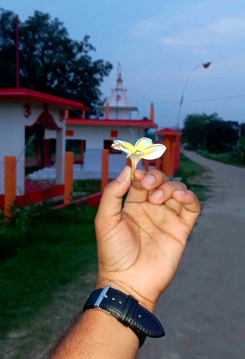 JrSavan tweet picture