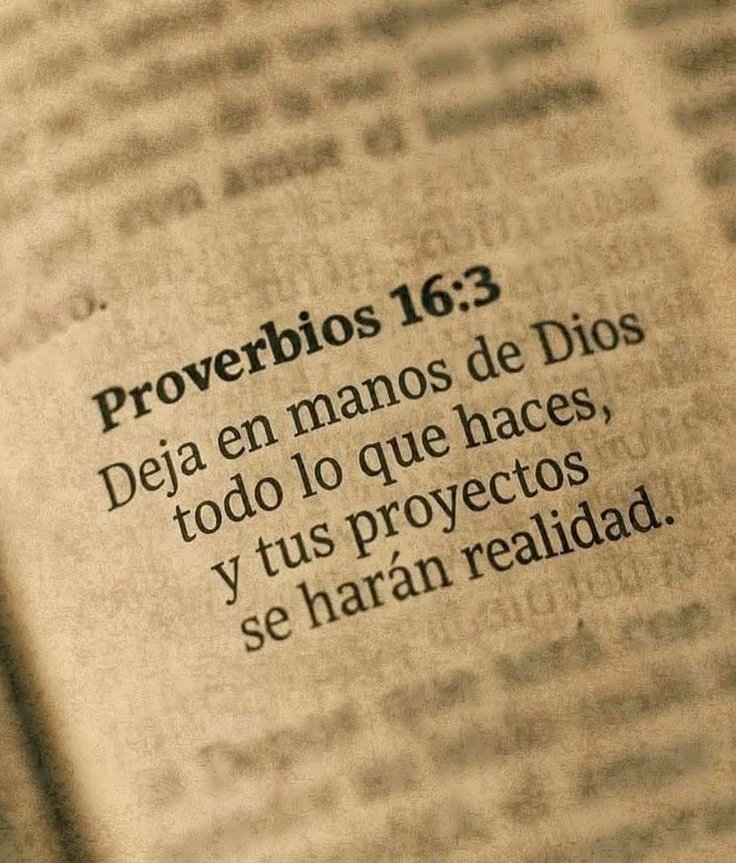 Biblia_Linea's tweet photo. https://t.co/kZfOVbrhrp