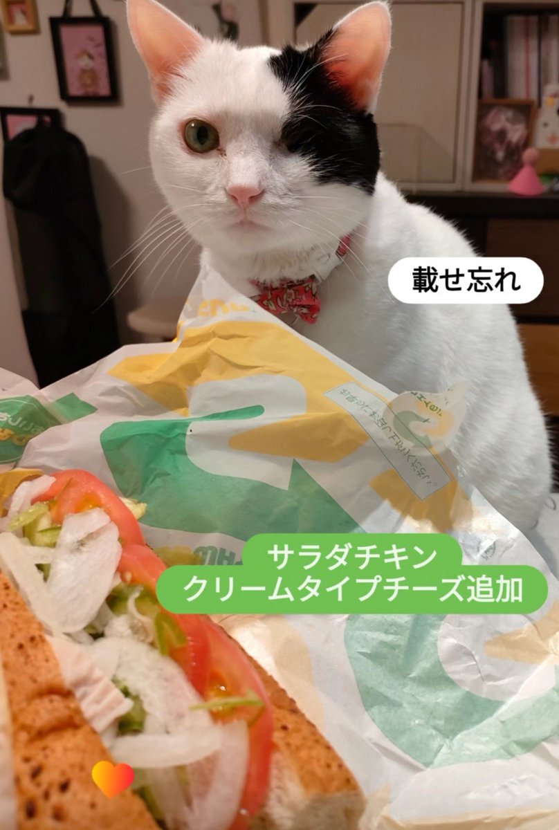 primalhome's tweet photo. 今年189本目は♪
サラダチキン　クリームタイプチーズ追加♪
じよんと♪

@subwayjp  #サブウェイ  #subway https://t.co/SjFTXDuBNX