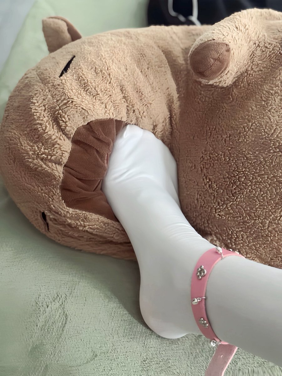 ladymty456's tweet photo. 踩死你们这群贱狗，老老实实上贡自己的工资 #上贡 #贡奴 #ATM #提款 #榨金 #压榨 #胁迫 https://t.co/ESZ5bksL32