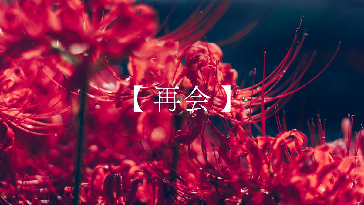 asanatsu_rei's tweet photo. 彼岸花の花言葉 https://t.co/IaPAnKubx8