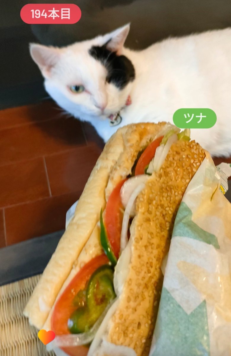 primalhome's tweet photo. 今年194本目は♪
ツナ♪
じよんと♪

@subwayjp  #サブウェイ  #subway https://t.co/wPeUYkDGlU