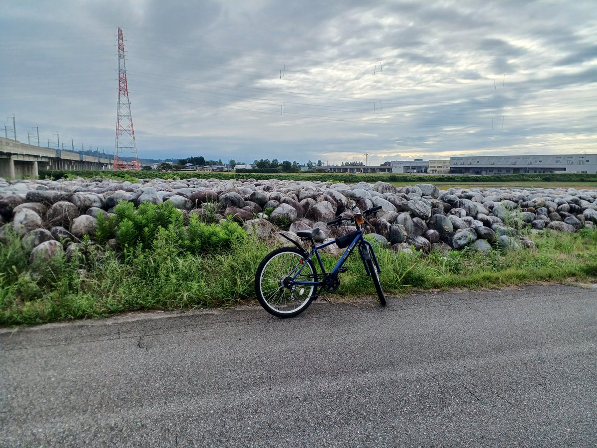 neokuritarou's tweet photo. 涼しい風が吹く中、河原ではススキが揺れる。
月見にススキ。
秋ですね。

#自転車
#ポタリング
#秋
#ススキ
#土曜日
#富山県 https://t.co/xDW6qdyCJX