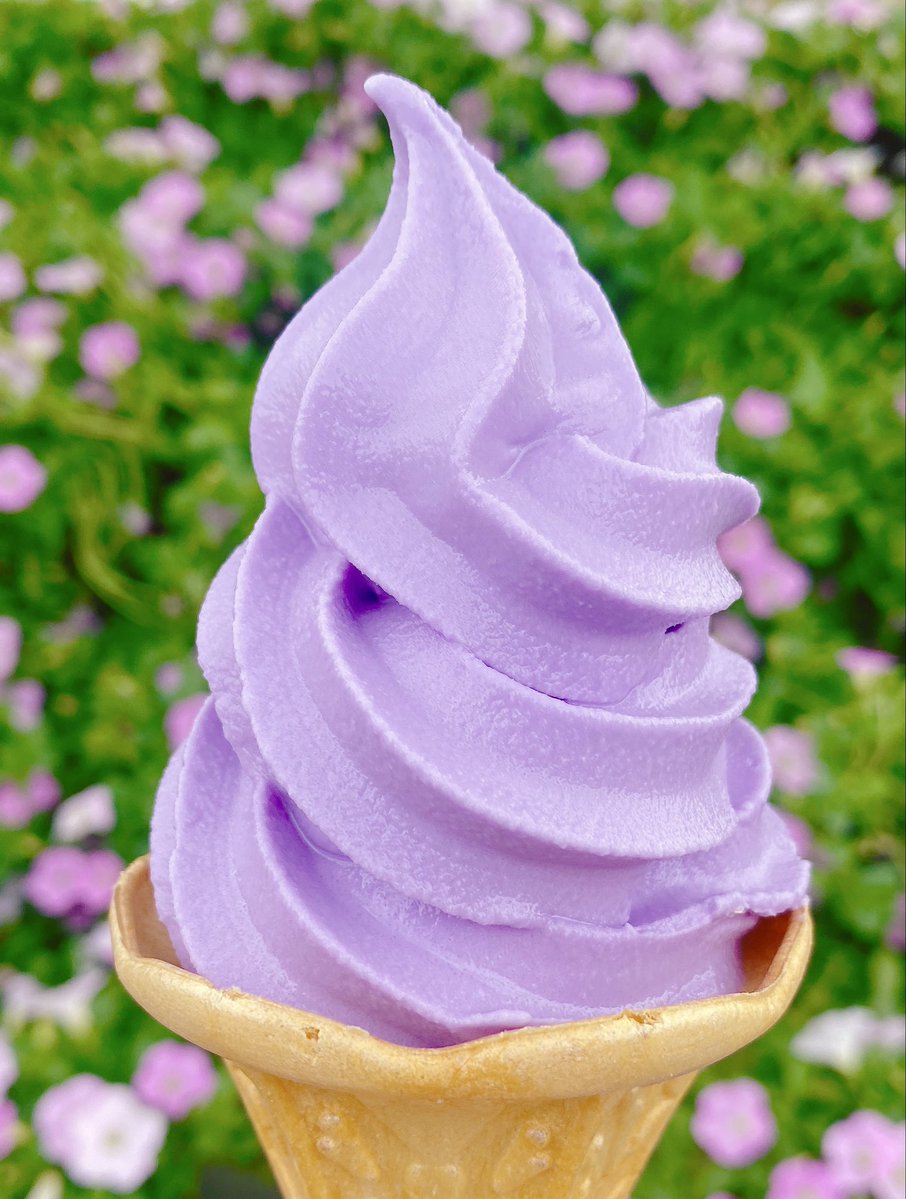 sweetroad5's tweet photo. 栃木県にある「あしかがフラワーパーク」内で販売されている、パークオリジナルで、藤の香りが楽しめる見た目も美しい「藤ソフトクリーム」✨ https://t.co/noxPmQyLbF