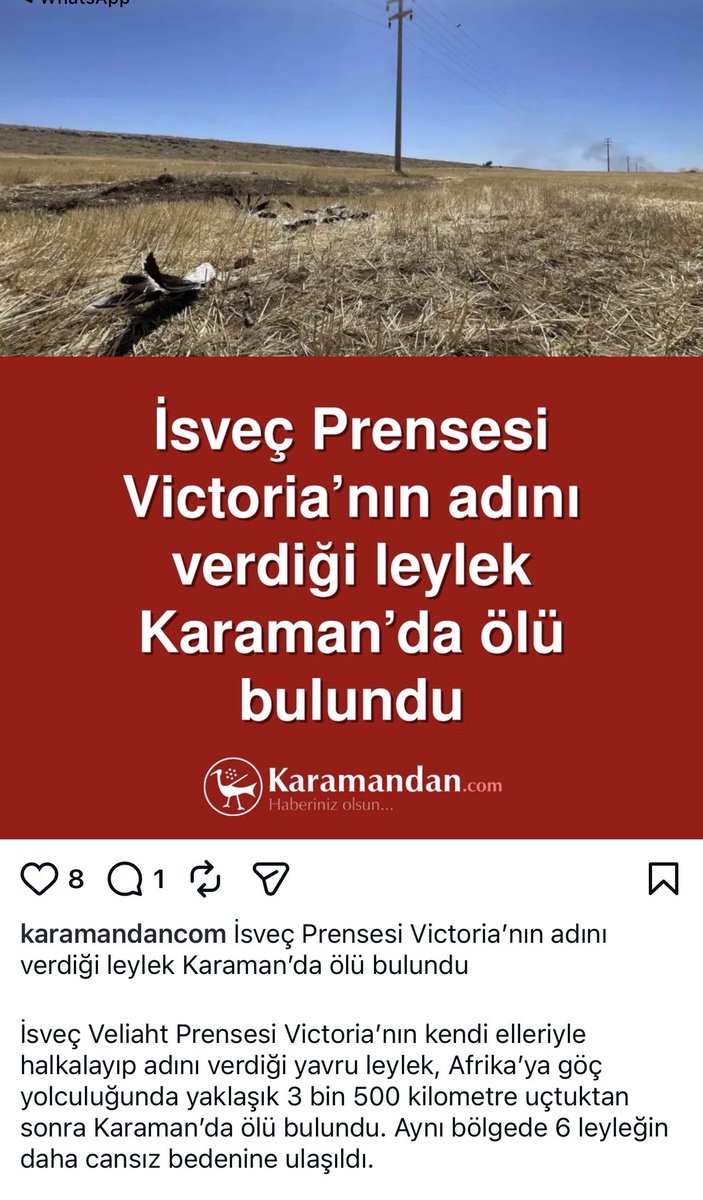 DokuzOlmaz's tweet photo. https://t.co/lYmVl4JiaL
