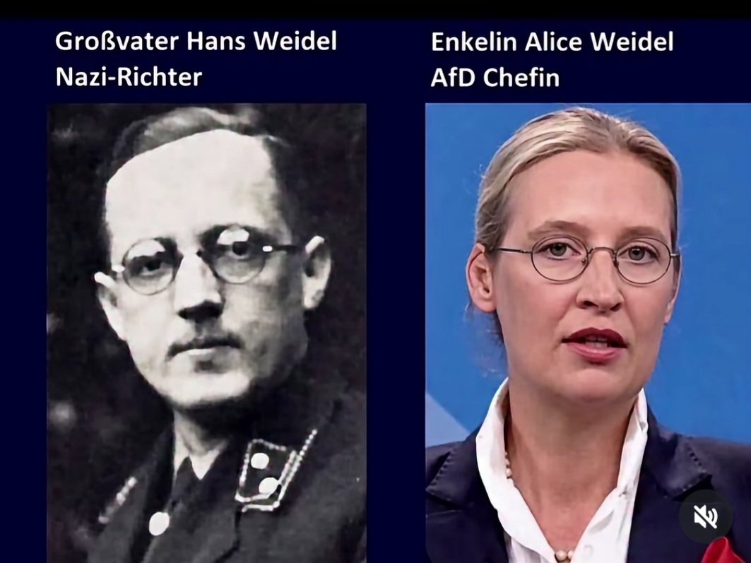 Adrian11192493's tweet photo. Der #Apfel fault nicht weit vom Stamm...
@Alice_Weidel
@afd https://t.co/0cUB8K9Ji7