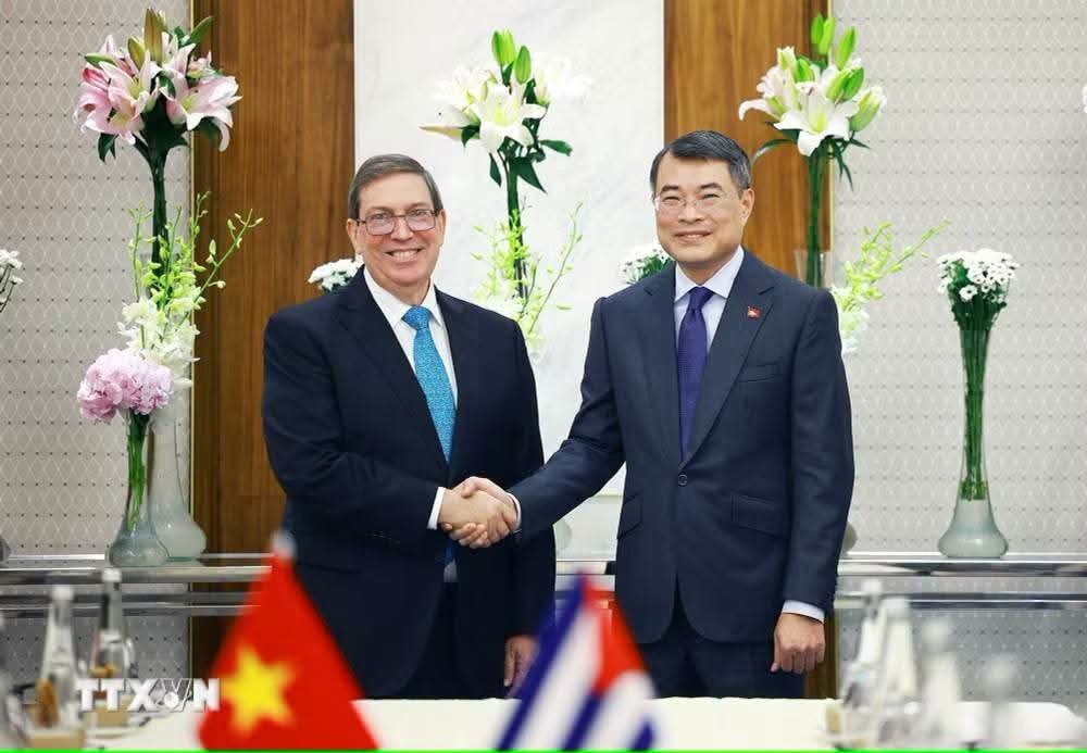 BrunoRguezP's tweet photo. Muy contento de la productiva reunión sostenida con el Primer Ministro de #Vietnam, compañero Le Minh Hung, en el marco de la Cumbre de #BRICS2026.

Destacamos los históricos vínculos de amistad, cooperación y solidaridad que unen a ambos países socialistas.

Expliqué la difícil situación que enfrenta Cuba, causada por el cerco energético, el recrudecimiento del bloqueo y las sanciones secundarias que provocan graves daños humanitarios. 

Intercambiamos sobre las medidas adoptadas por nuestro Partido y Gobierno para retomar el camino de la recuperación económica, aliviar las privaciones de nuestro pueblo y enfrentar las consecuencias de la política de asfixia económica estadounidense.

#CubaBRICS