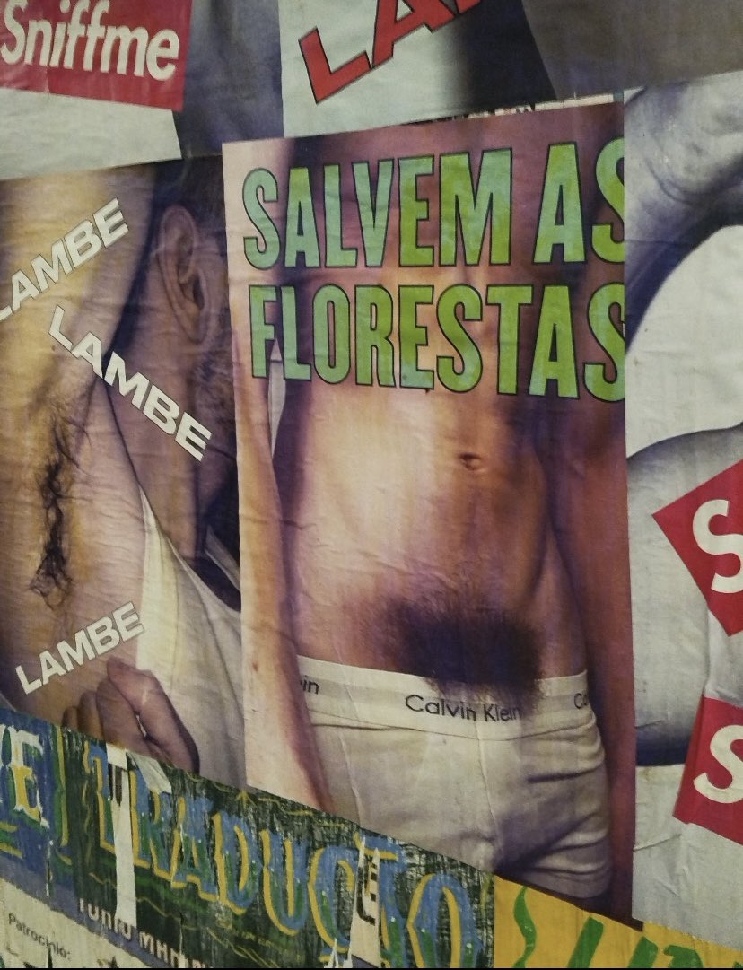 kyxxdot's tweet photo. salvem as florestas 

https://t.co/9jSbP9zNAI https://t.co/r4jC1YGR3g