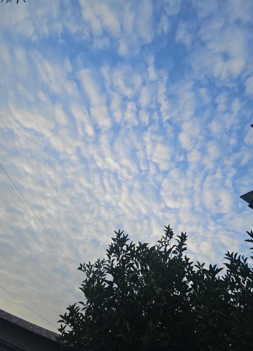 369694's tweet photo. #イマソラ #今日の空 #空
2026/09/12 ☀️晴れているけど…🌡️室温が今だに33℃😖
まだまだ1週間はクーラー必須の状況💦
グンちゃん
#TEAMH 🆕🆙🎥ありがとう〰️❣️
うなぎにお土産いっぱい嬉しいです🎶
来月のライブも期待しているね✨🥰
明日もまた良い日で…🍀🤗
#チャン・グンソク #장근석 #張根碩 https://t.co/4aVD7cjbfX