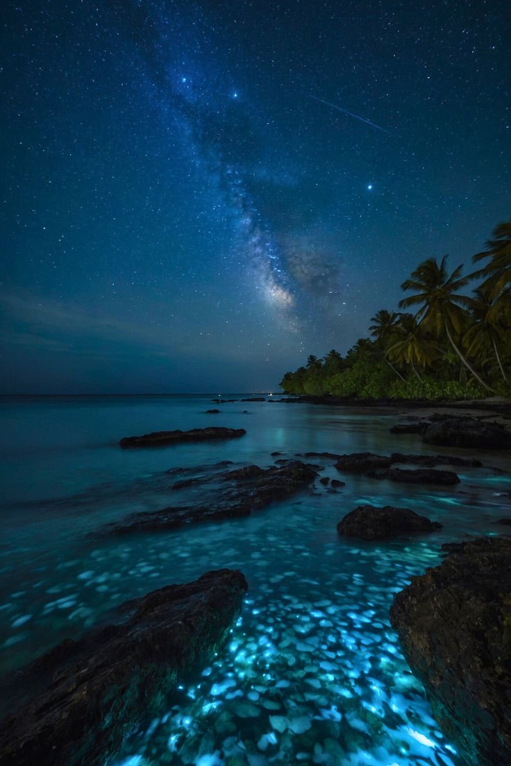 reminiscinbby's tweet photo. Vaadhoo Island, Maldives https://t.co/3kej2KsbSI