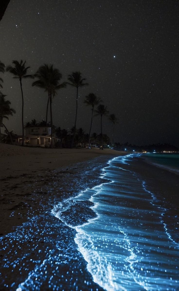 reminiscinbby's tweet photo. Vaadhoo Island, Maldives https://t.co/3kej2KsbSI