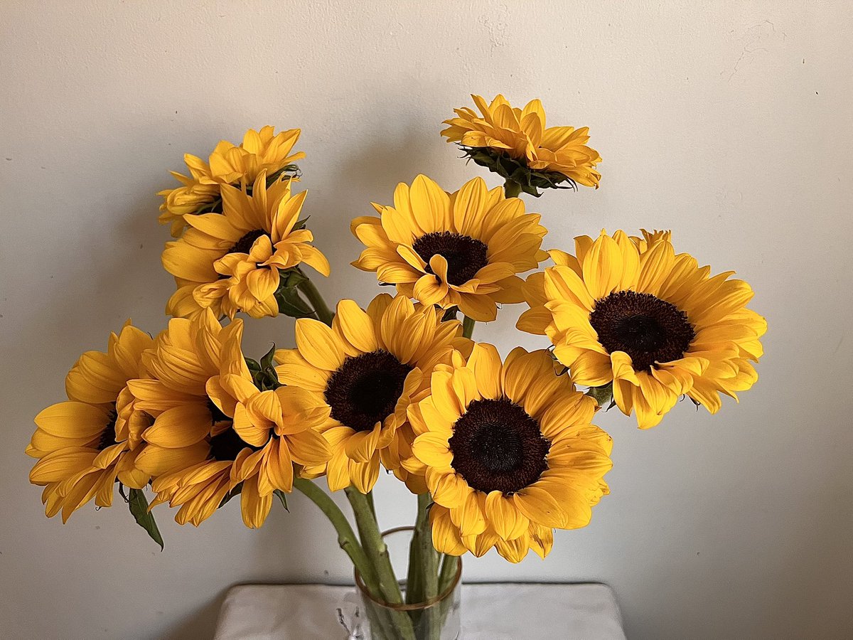 uikil2's tweet photo. 🌻♡ https://t.co/Z2IFAb07oB