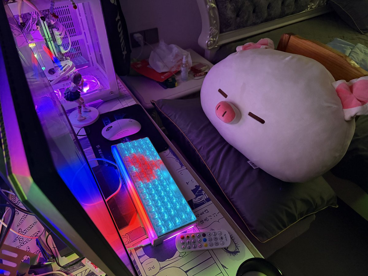 Ason5vp's tweet photo. My happy sanctuary🎮
RGB for passion, pig pillow for love.
#Gamersetup https://t.co/L4gRw6ct73