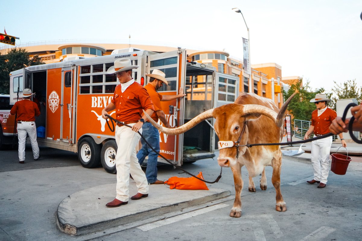 TexasLonghorns's tweet photo. good morning, handsome 🤘

#HookEm | @TexasMascot https://t.co/trvDDEWZ6N