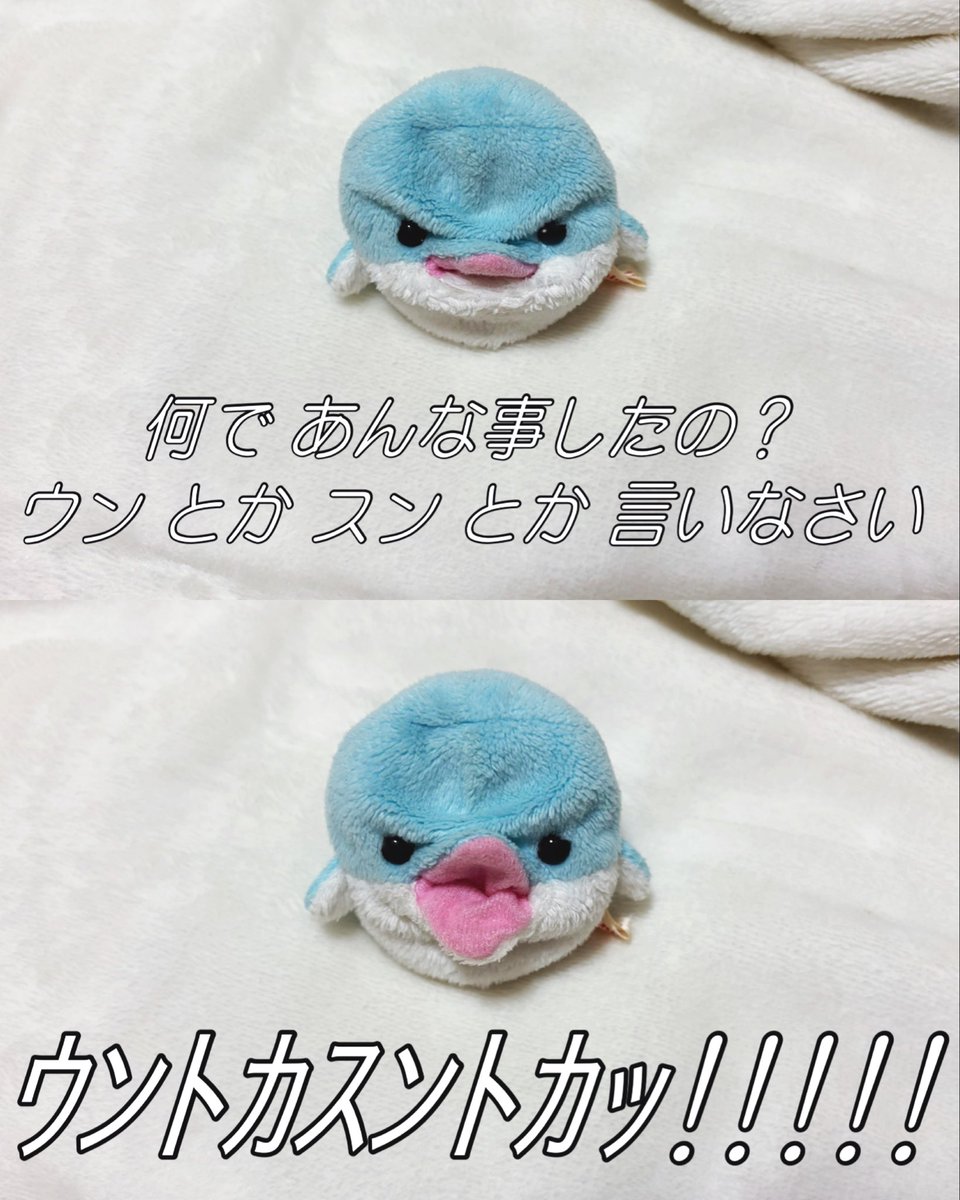 lady_chisaine's tweet photo. 😠 https://t.co/nuEw3TmSbZ