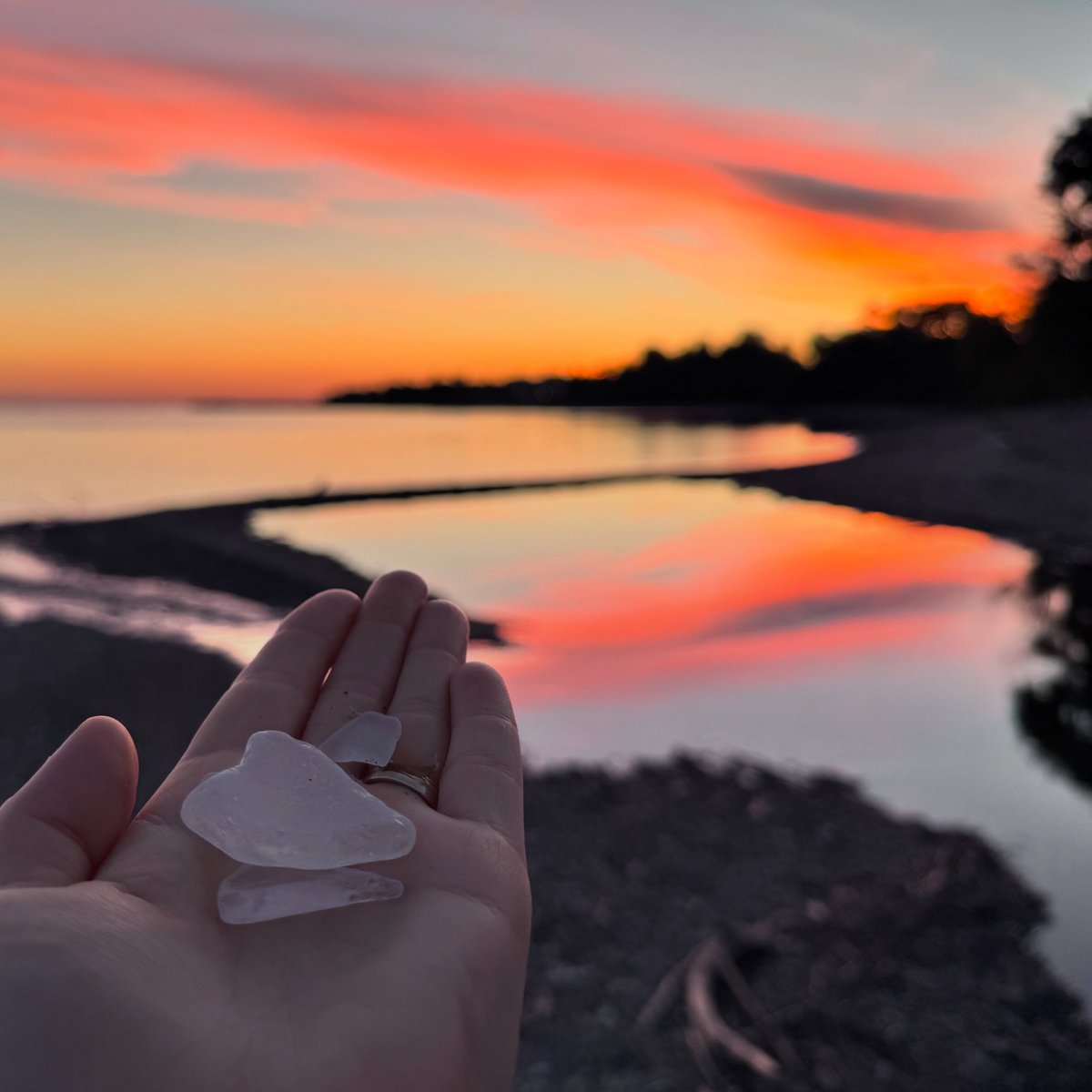 NorthEastBeach's tweet photo. 🤍 beach glass. 🌅 sunrise. 🌊 Lake Erie.
#sunrise #lakelife #morningwalks #beachtime https://t.co/OKe5zB9Qyo