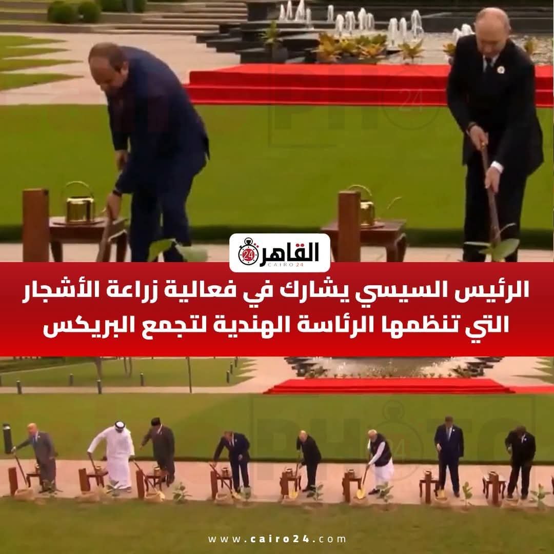 Hoba441920's tweet photo. تقريبا بيلقحوا علي السيسي لما قطع شجر مصر كله حتي المقابر فبيعلموه يزرع شجر https://t.co/D3GPomAj7R
