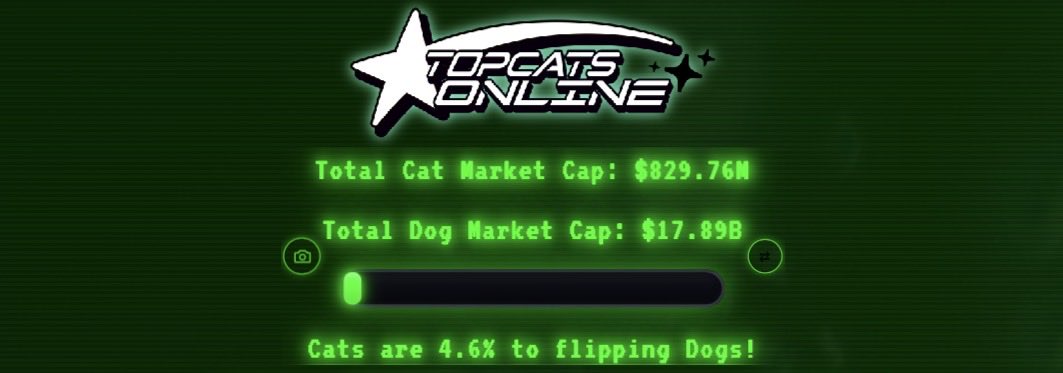 SPINCAT_Maxwell's tweet photo. CAT SUPER CYCLE 
we gonna flip dogs!!! https://t.co/zr4A1YD6PG