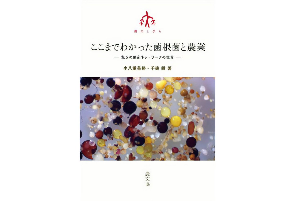 cornman_Japan's tweet photo. 農文協から発売された
『ここまでわかった菌根菌と農業――驚きの菌糸ネットワークの世界』では、
植物の根だけでなく、土の中に広がる菌根菌の菌糸も、植物の「第2の根」のような役割を果たしているそうです。

勉強になります！ https://t.co/lh60OjXsVC