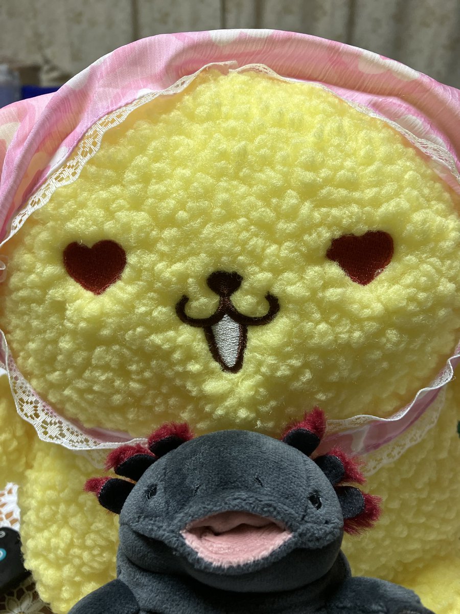 namicho73's tweet photo. ようこそ我が家にウパ　#もちうぱ https://t.co/mqtfF0kWhA