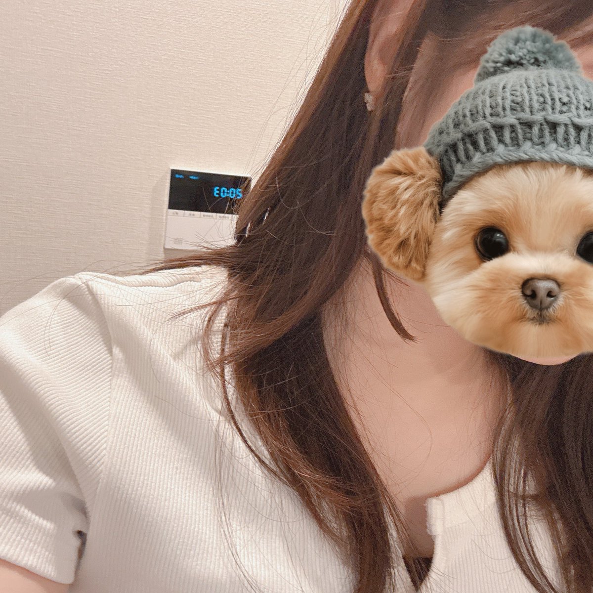 22455_bm's tweet photo. 髪切った   やはりレイヤーしか https://t.co/KKf8QfZJ8a