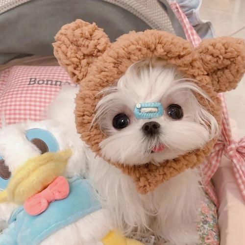 cobi_cm's tweet photo. 🔥 🚩 🌻 🌈 🍁 💐 Why is my Wi Fi slower than my grandma https://t.co/TFxePMrciW