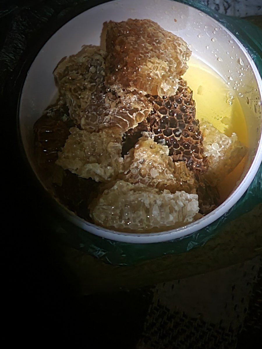 Rf__x7's tweet photo. من العلاجات الطبيعية لجرثومة المعده العسل: 
نقوم بطحن حبة البركه السوداء حتى تصير كالبودره ونخلطها مع العسل والزنجبيل المطحون، ومن ثم نقوم باخذ منها ملعقه كبيره يومياً على الريق لمدة ثلاثة أيام او أكثر. https://t.co/OnC2xPHFuE