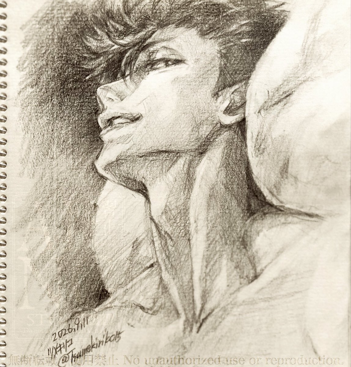 Tsumekiriko15's tweet photo. 久しぶりの🐈‍⬛鉛筆画

🍎ペンがダメになったので、今日は鉛筆で✏️

#kuroo #pencildrawing https://t.co/B8G3qZ0Nuh