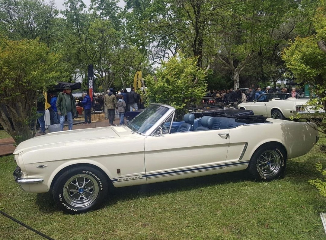Anne_n025's tweet photo. How about taking this car out for a drive this weekend? https://t.co/ojWxr15NOt