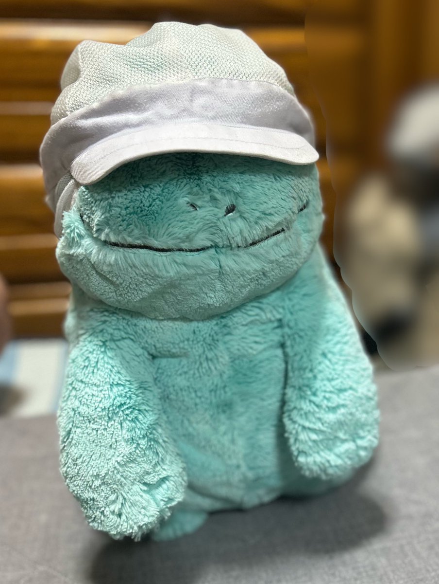 nuo_oun195's tweet photo. 洗濯物畳んで振り返ったら
仕事で使う髪の毛混入防止用の帽子
らんちゃんに取られてました。
よくお似合いなので明日から一緒に働くかい？

（ら）働くのはイヤぬ。被ってみただけだぬ https://t.co/EosbjofphX