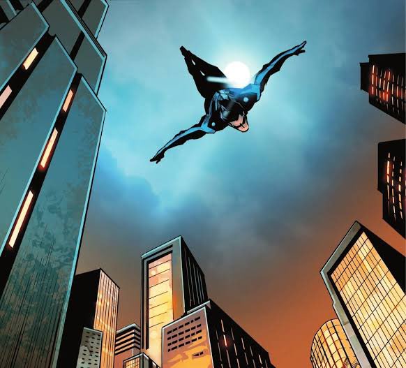 NotInHisShadow's tweet photo. “Dropping into a freefall over the buildings in the city, wind biting cold, red and orange leaves scattering like confetti. Blüdhaven looks almost peaceful from up here. Almost. Time to keep moving.” https://t.co/DqcUkXjl64