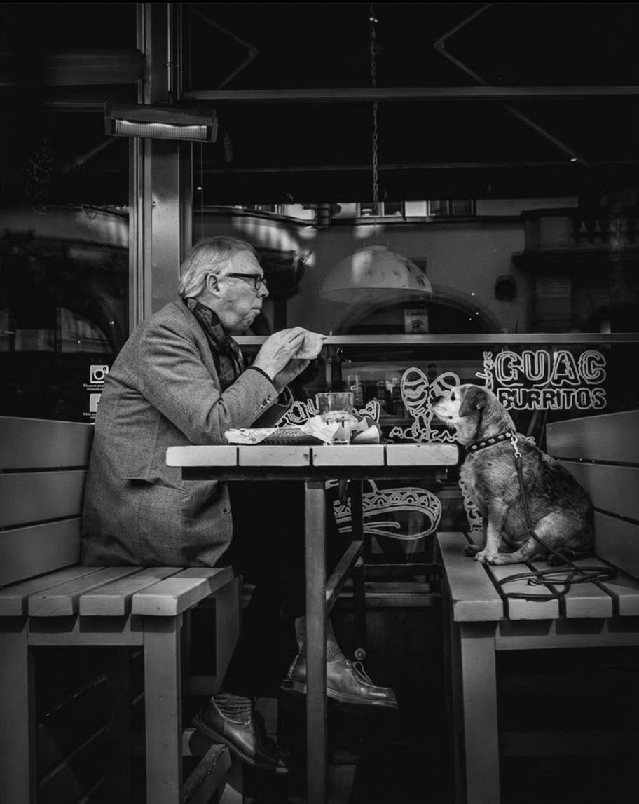 JamesMartirq7p's tweet photo. “Animals are such agreeable friends—they ask no questions; they pass no criticisms.”  ~George Eliot 🐾 https://t.co/eJGWKgisue