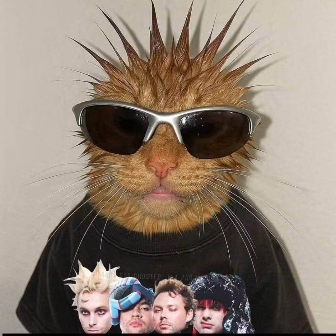 ssunshinevol6's tweet photo. AMIGAS HOY VEO A 5SOS https://t.co/J99bwjUwWs