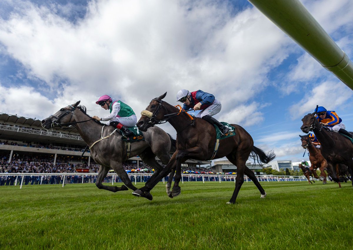 LeopardstownRC tweet picture