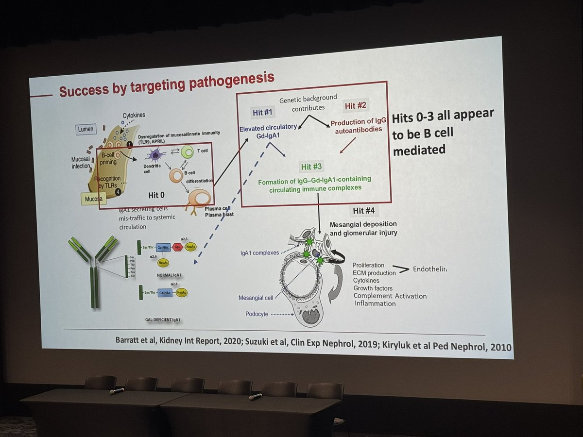 KDAO2011's tweet photo. Think of #IgAN pathogenesis as a result of 4 hits - note that hit 0-3 appear to be B cell mediated - Dr Rovin @ting2li  #WUSTLNeph https://t.co/aoBsTzqE2u