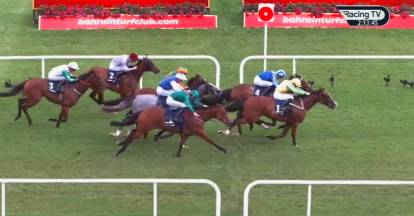 RacingPointTips's tweet photo. KRASIMIR 🥇

10/1 WINNERRRR✅✅ https://t.co/Fng7cuVdKO