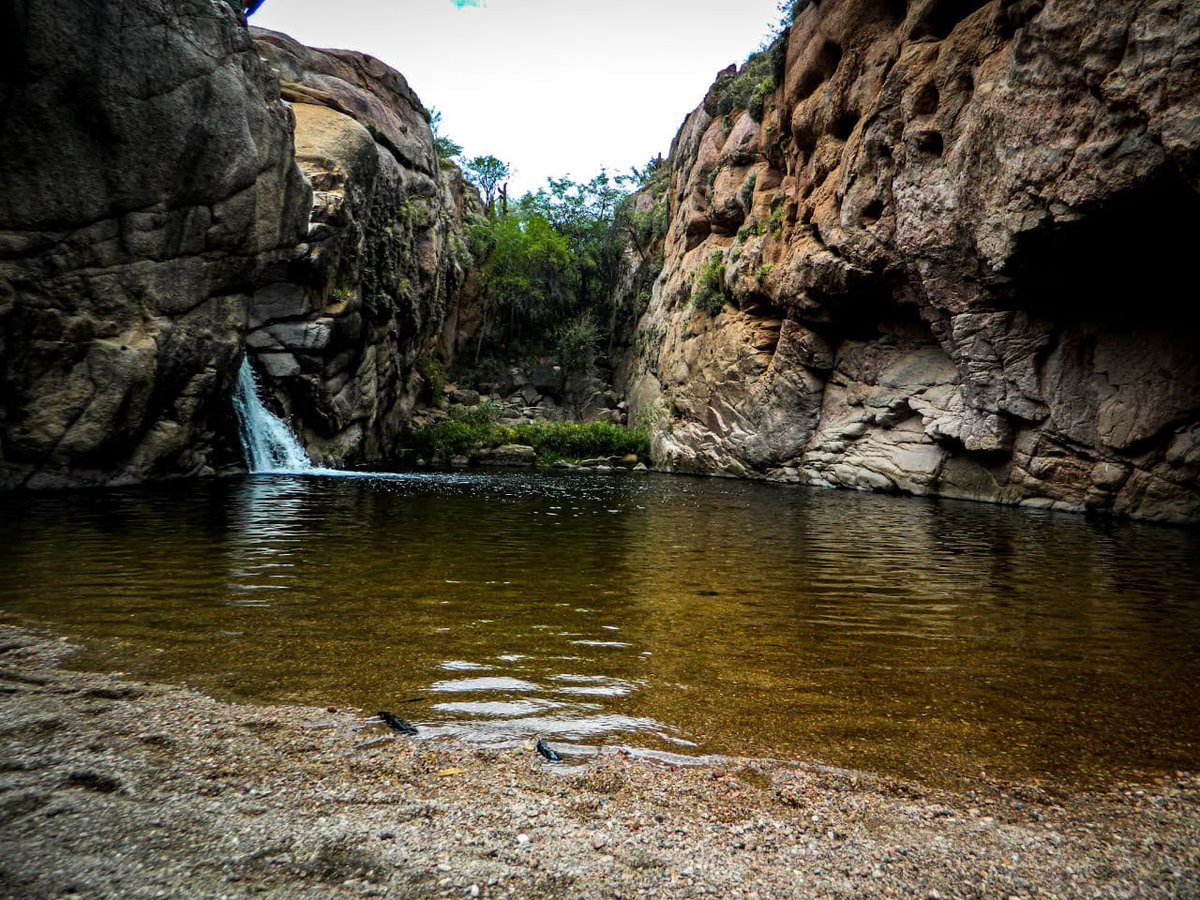 QuintelaRicardo's tweet photo. ¡Feliz aniversario, San Blas de los Sauces! Celebramos la belleza de sus paisajes, la riqueza de su patrimonio histórico y cultural, y la calidez de su gente con la que reciben a quienes llegan de visita.
Hoy es tiempo de celebrar todo lo que somos y todo lo que construimos juntos. Que este nuevo aniversario nos encuentre con orgullo, alegría y la mirada puesta en todo lo que viene.

Sigamos trabajando codo a codo, con compromiso y esperanza, para construir juntos el futuro de San Blas de los Sauces y de toda La Rioja. ¡Muy feliz aniversario!