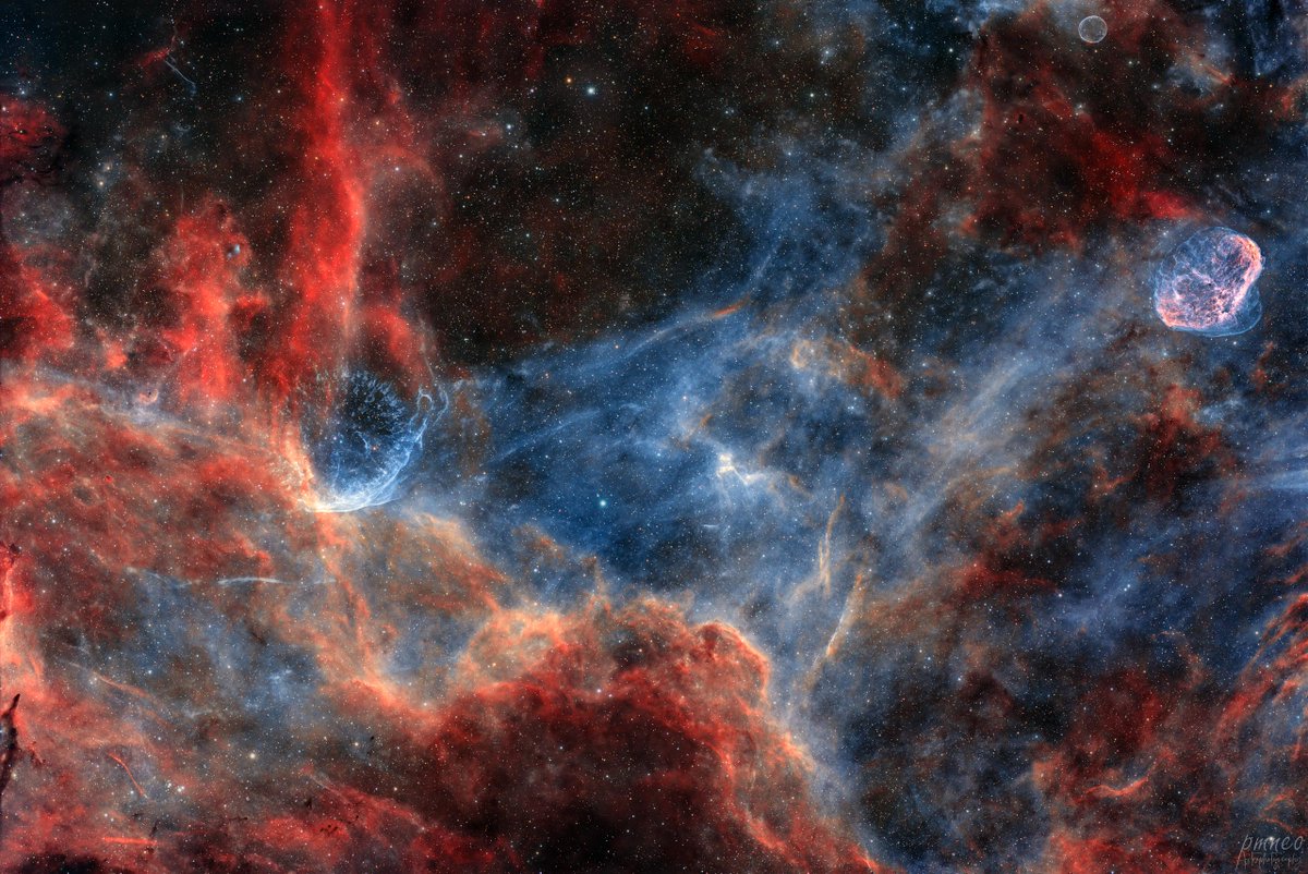 InsightObs's tweet photo. 🔭 WR 134's onion-ring shells meet NGC 6888's glow in Cygnus. 51 hrs Hα/[OIII]/SII, shot on AFIL-38. Masters Only, 30% off — won't last.

https://t.co/5bSu0Z0HWy

#Astrophotography #Cygnus https://t.co/LEzEoQ7qE9