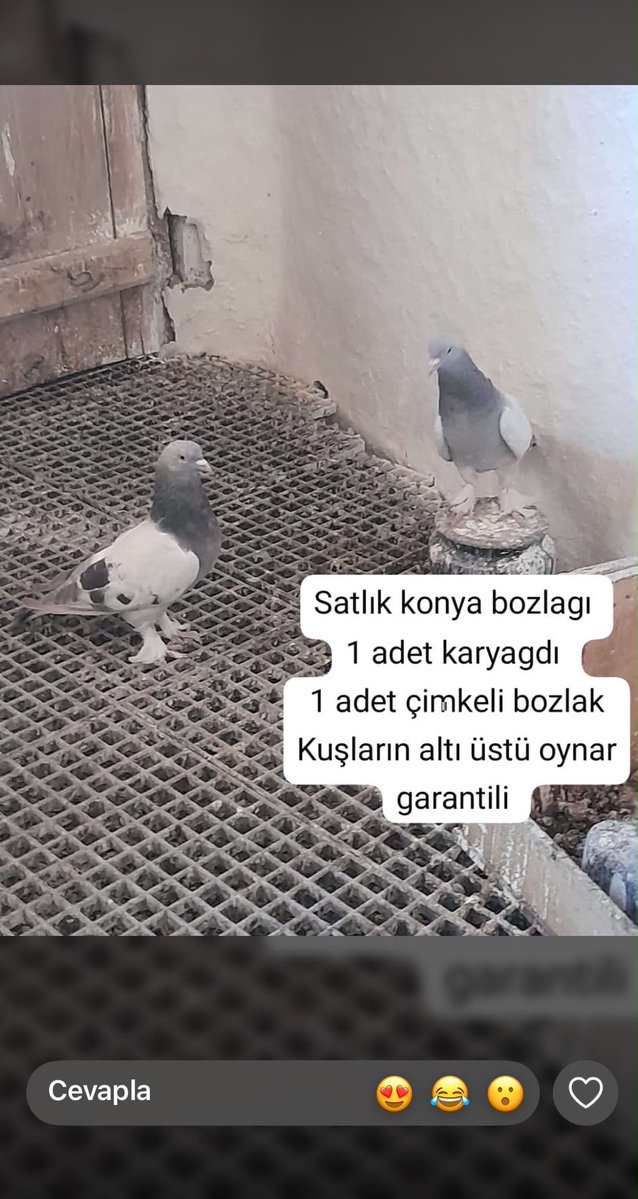 zeyyybo's tweet photo. Wp durumları iyi ki var https://t.co/1eTEr0lItN
