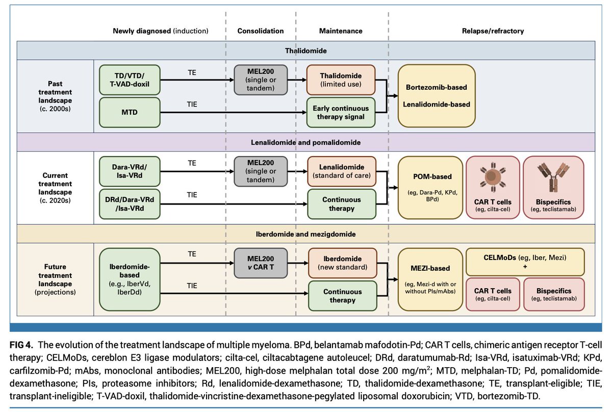 RahulBanerjeeMD's tweet photo. Nicest graphic I've seen on this! Excellent @JCO_ASCO review of IMiDs ➡️ CELMoDs in myeloma over time.

Easy to think of CELMoDs and TCEs as foes in this space, e.g. Iber-Dd vs tec-dara.

But in reality, most CELMoD use will likely be as maintenance after/with TCEs (or ASCT)! https://t.co/U2PdLsDGkZ